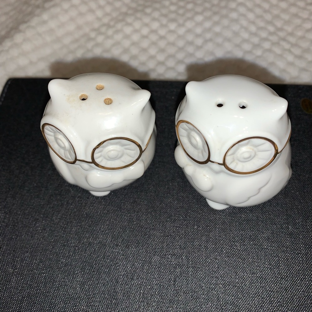 Owl Salt and Pepper Shaker Set - White Ceramic